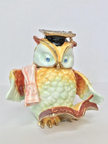 "Academic Owl" Casket photo 4