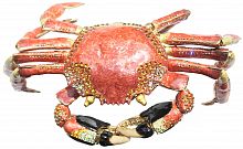 Souvenir ''The Big Crab''